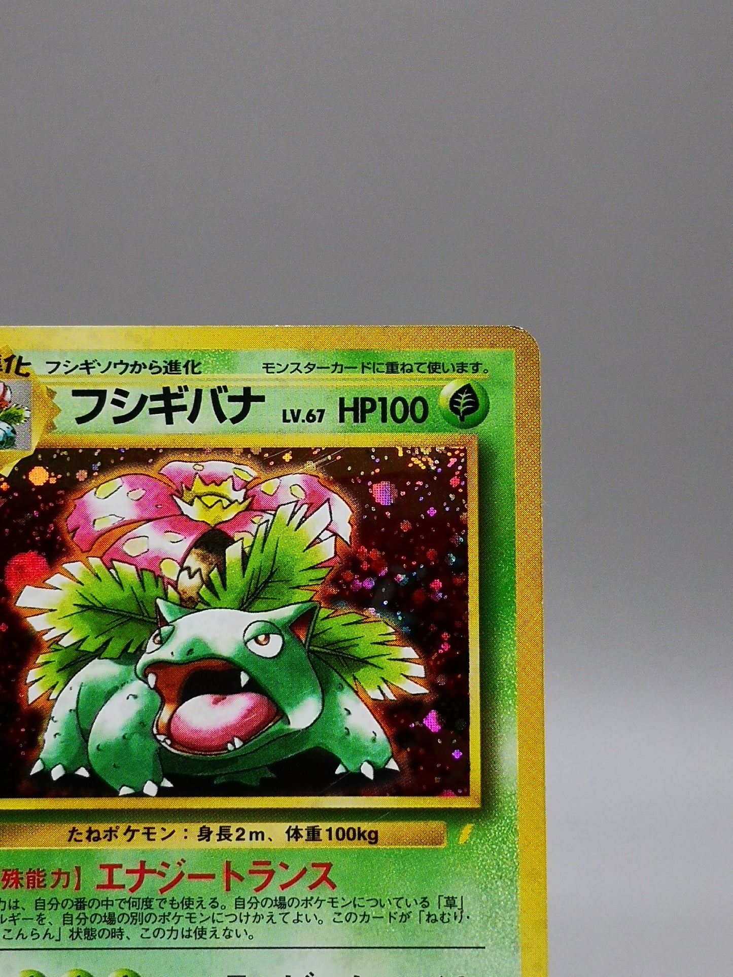 Venusaur Japanese Base Set 1996