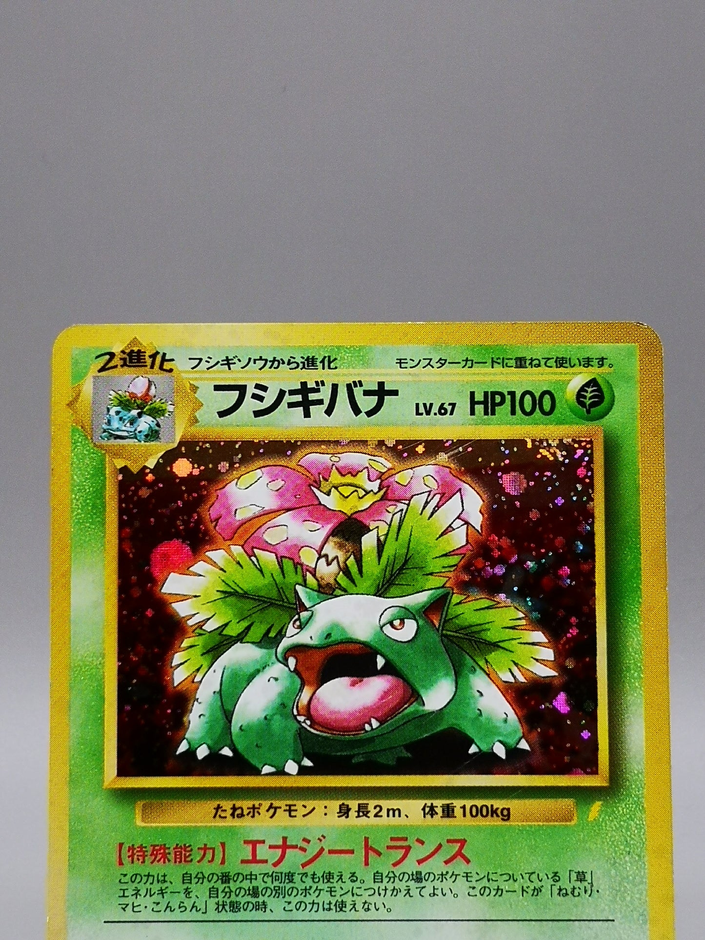 Venusaur Japanese Base Set 1996