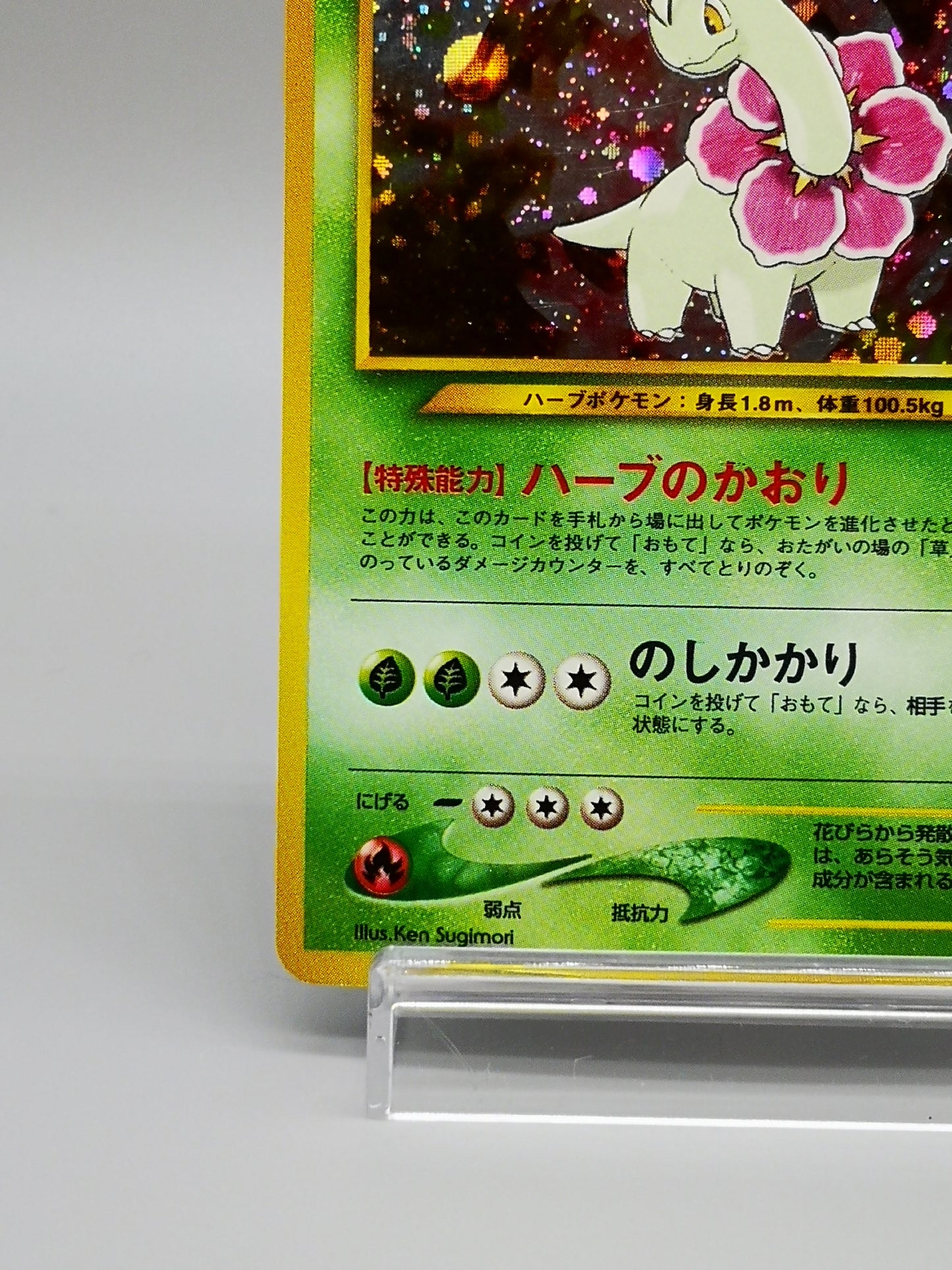 Meganium No. 154 Neo Genesis 2000