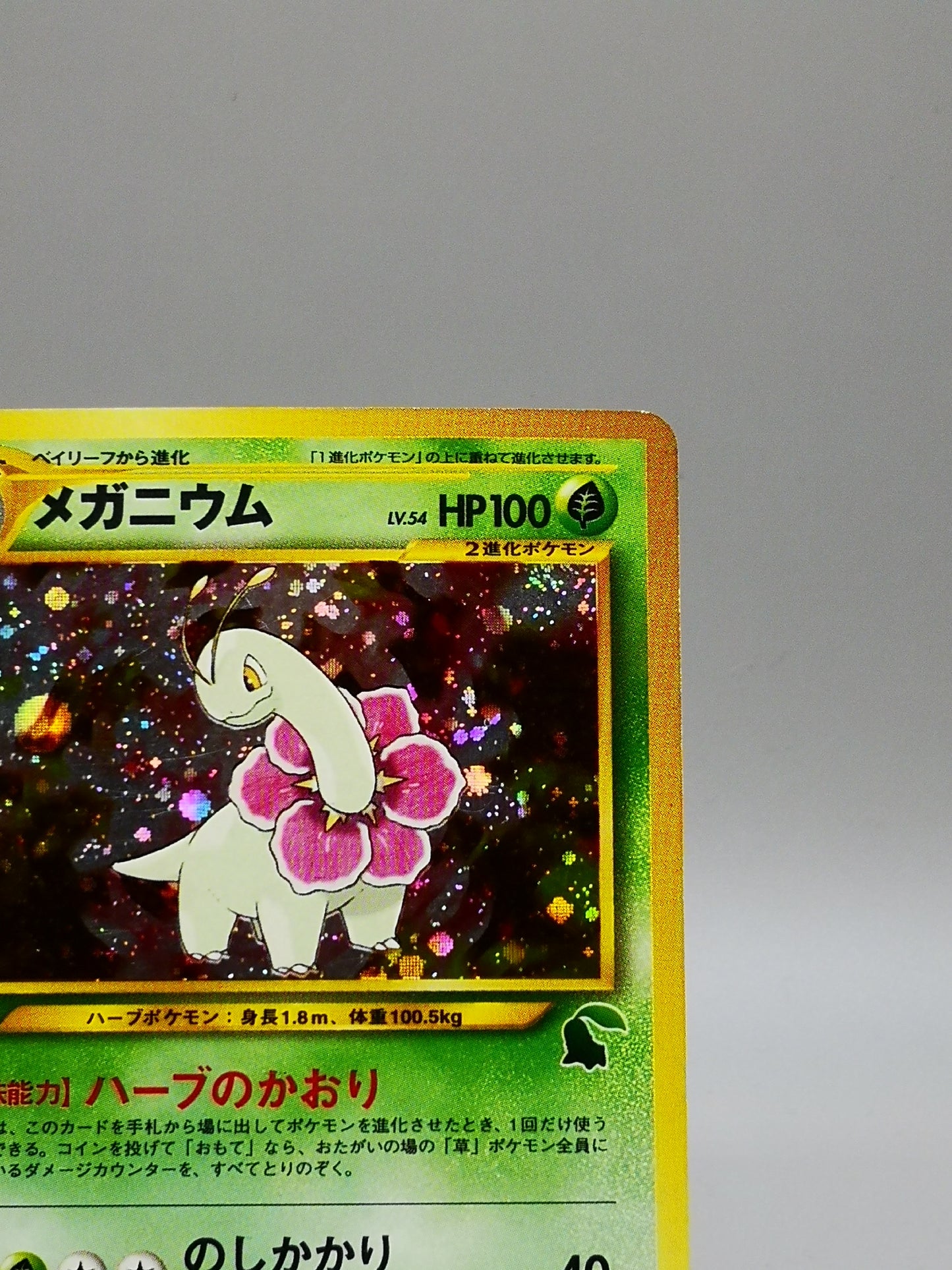 Meganium No. 154 Neo Genesis 2000