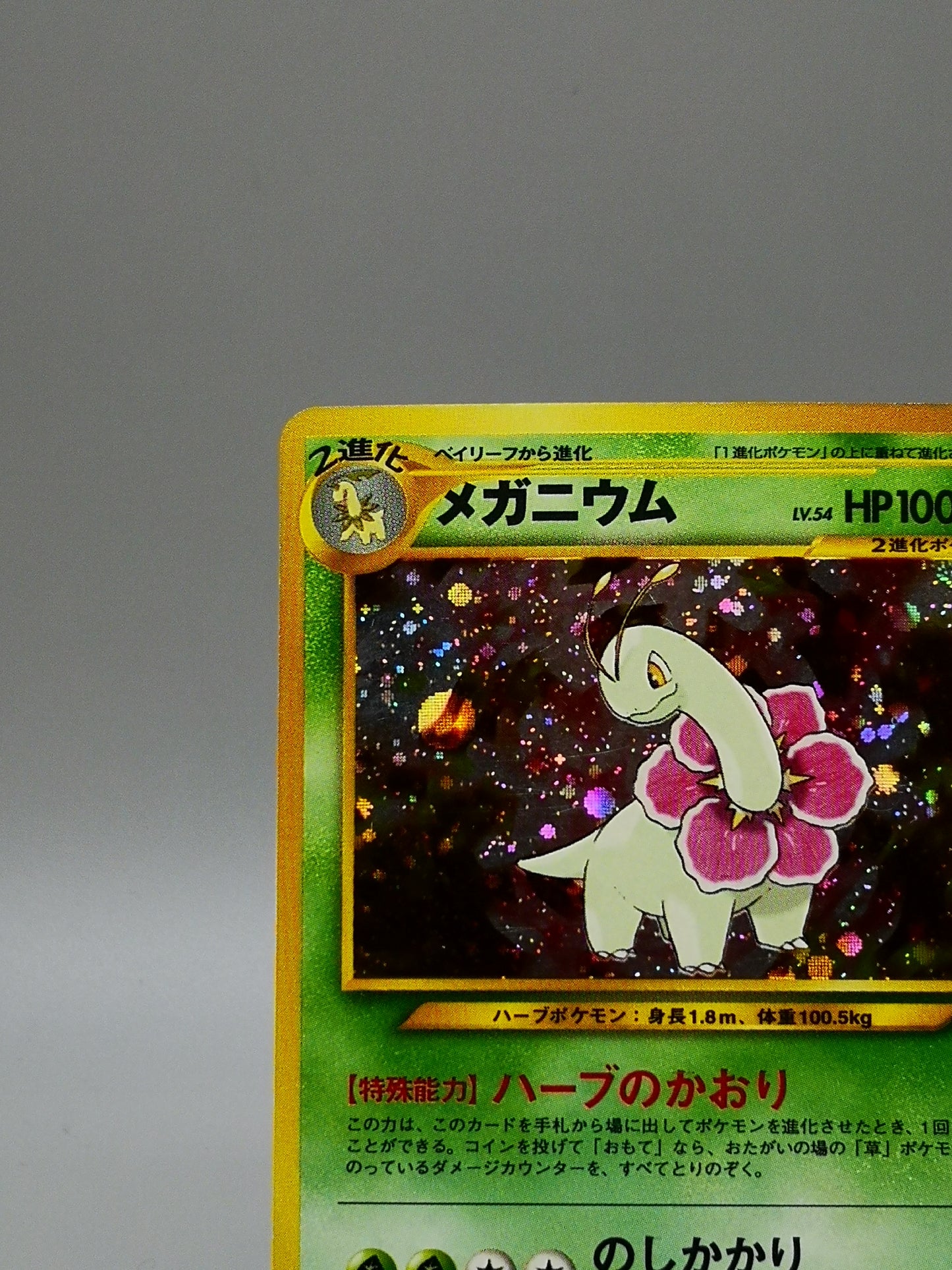 Meganium No. 154 Neo Genesis 2000
