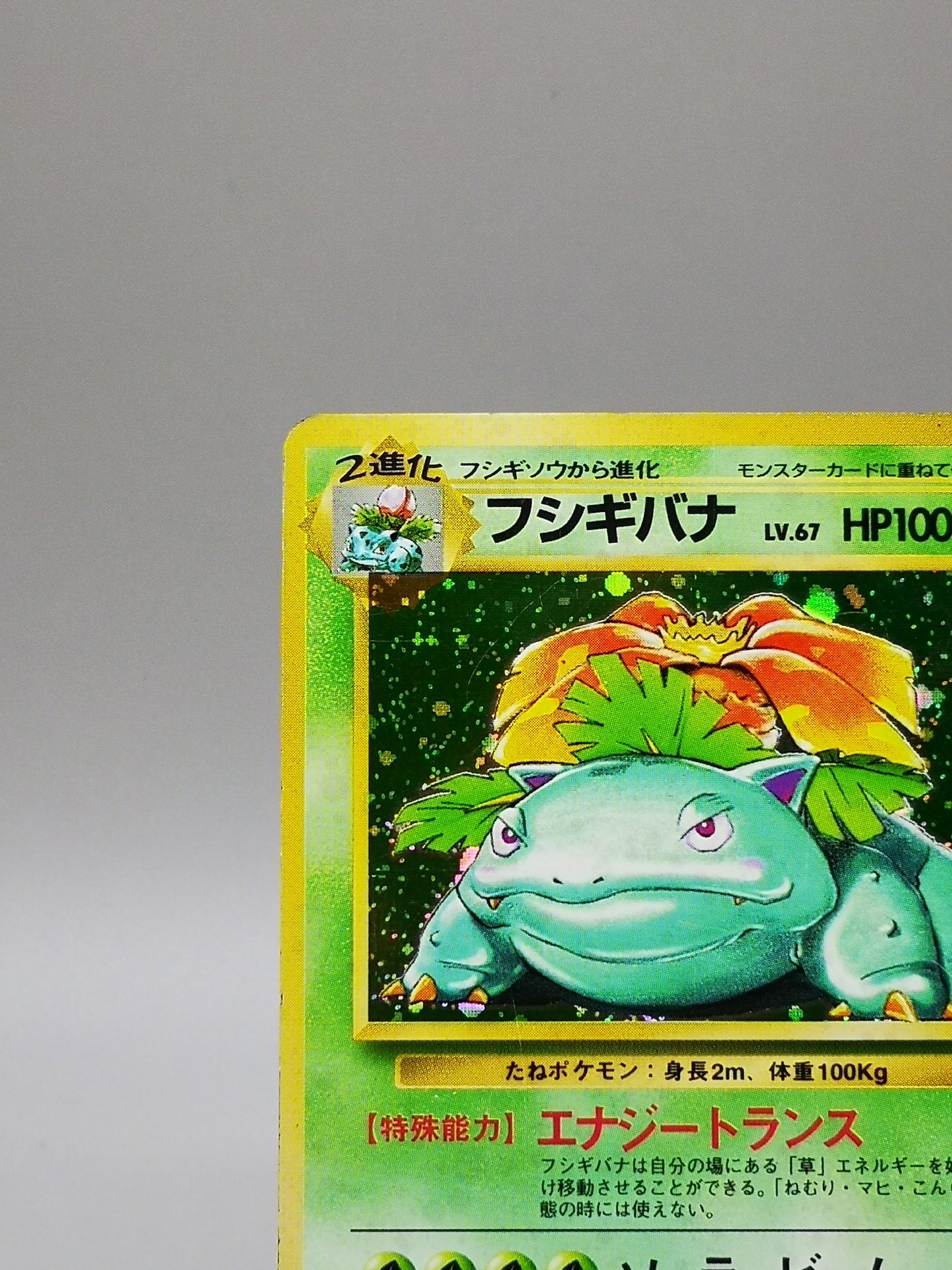 Venusaur No. 003 Japanese Base Set 1996