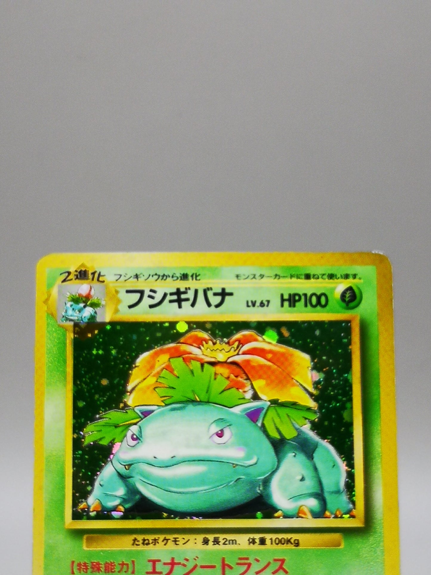 Venusaur No. 003 Japanese Base Set 1996