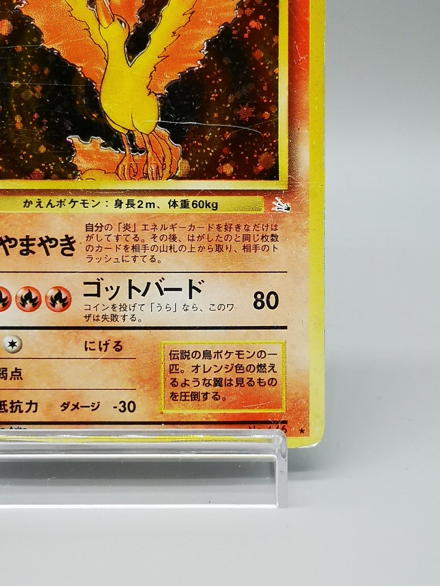 Moltres No. 146 Mystery of the Fossils 1997