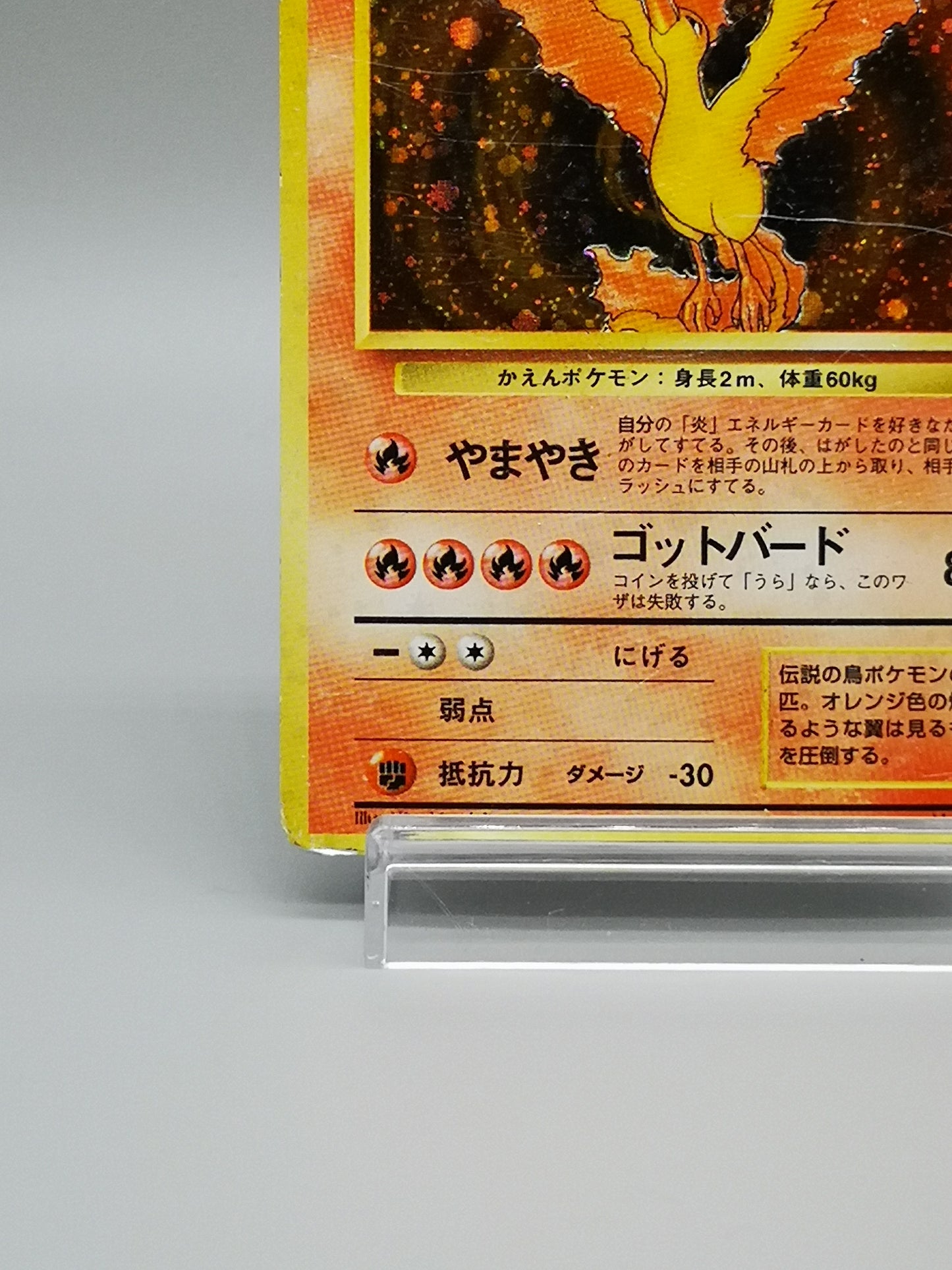Moltres No. 146 Mystery of the Fossils 1997