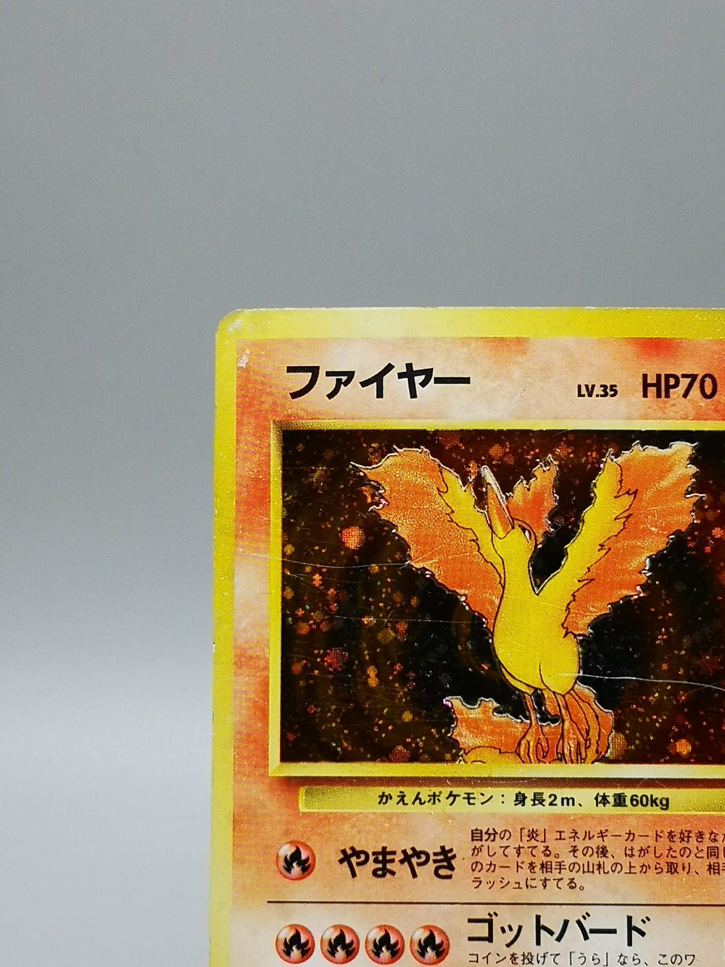 Moltres No. 146 Mystery of the Fossils 1997
