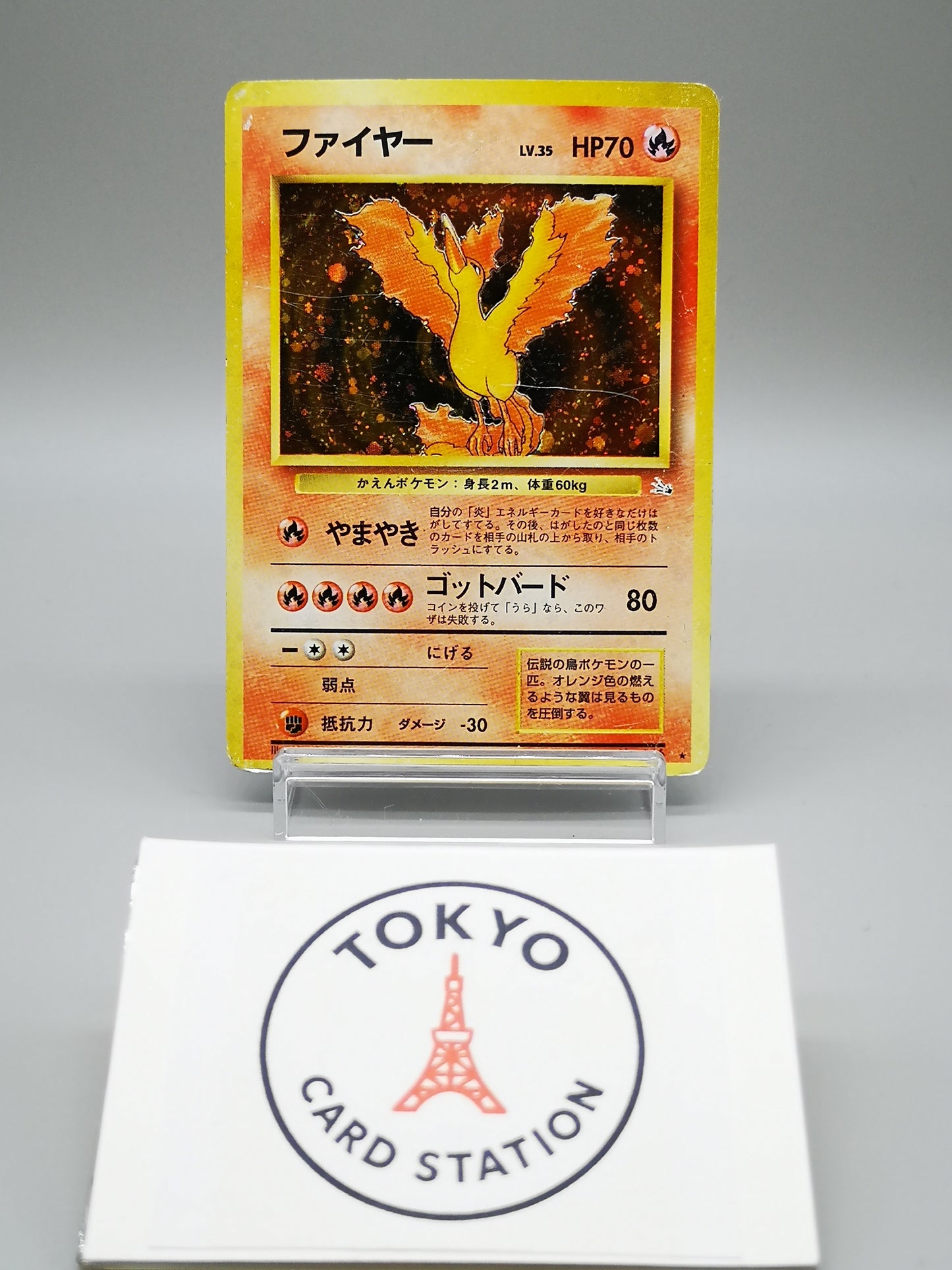 Moltres No. 146 Mystery of the Fossils 1997