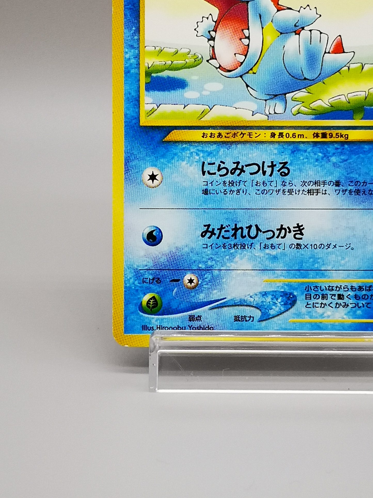 Totodile No. 158 Neo Genesis 2000