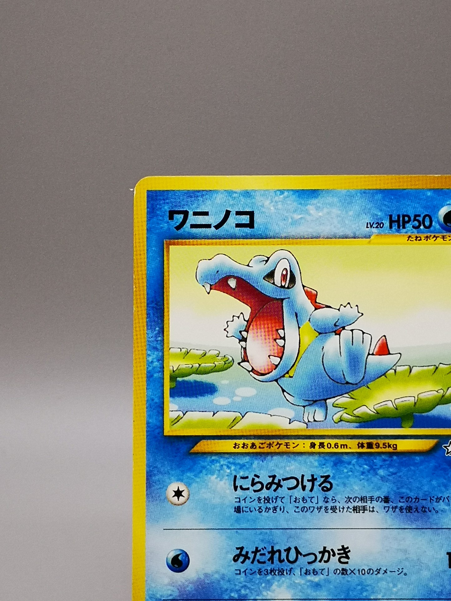Totodile No. 158 Neo Genesis 2000