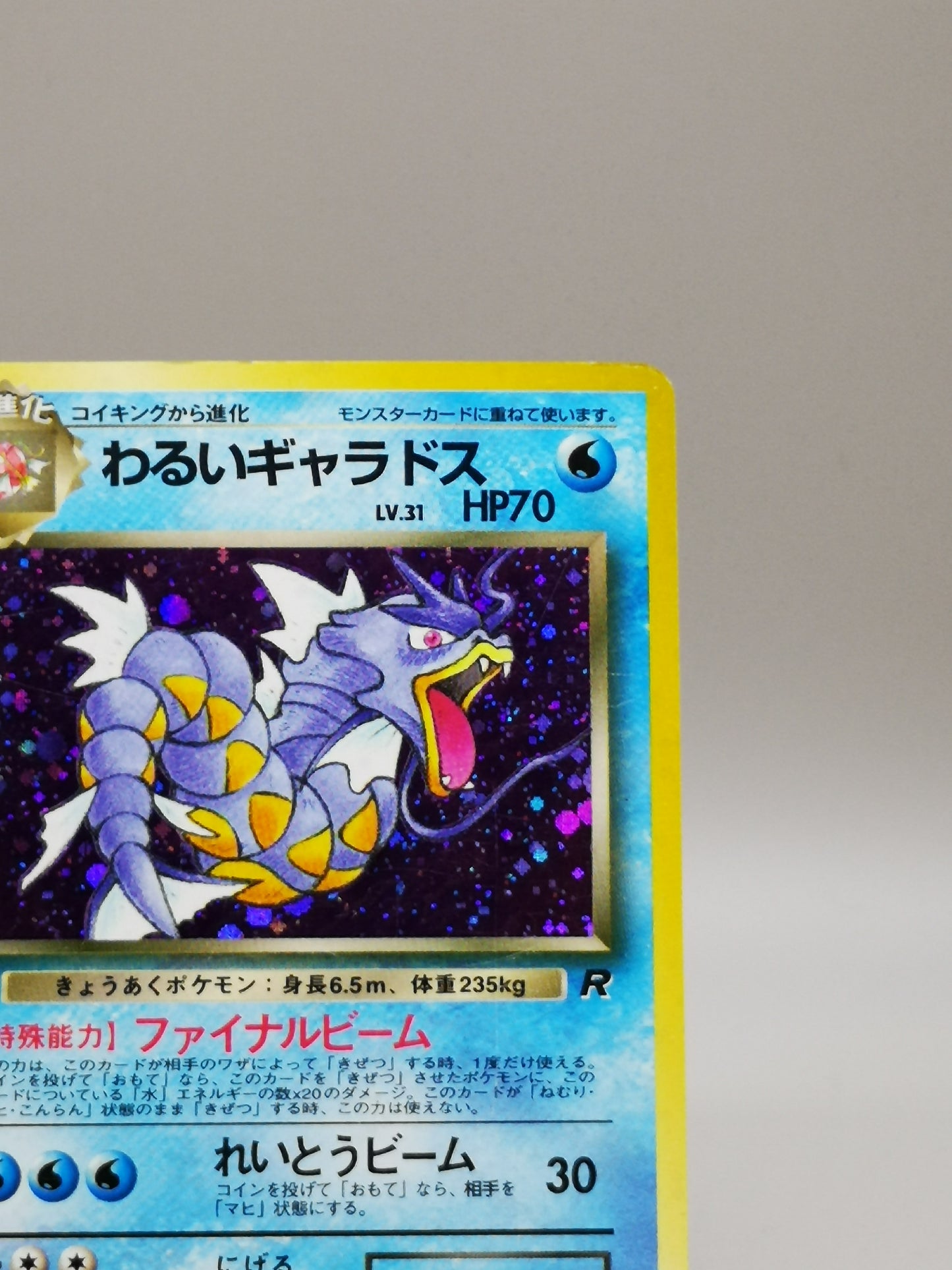 Dark Gyarados Team Rocket 2000