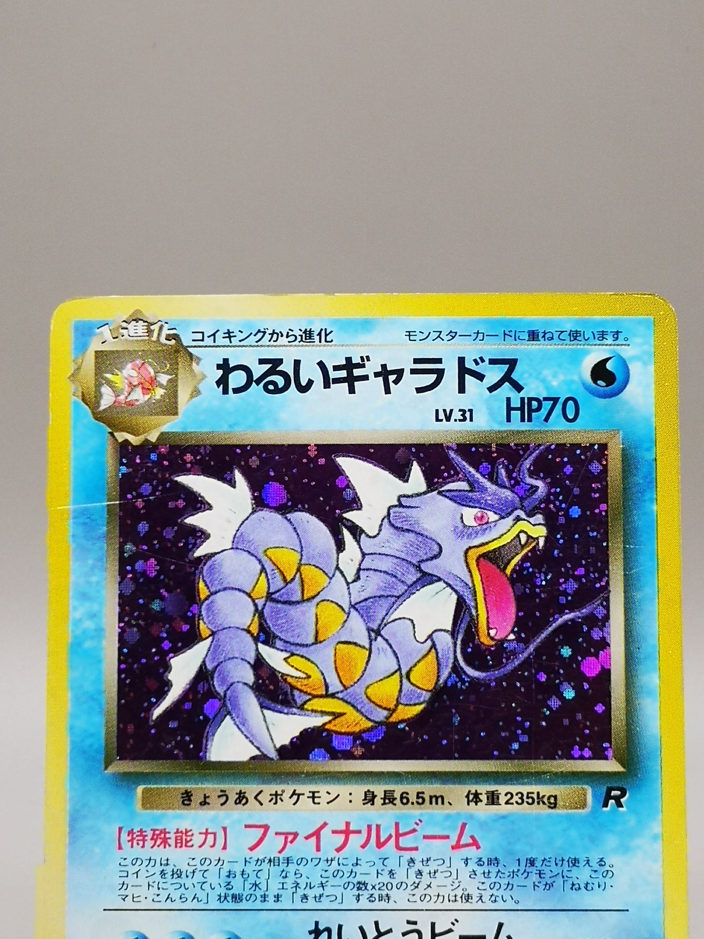 Dark Gyarados Team Rocket 2000