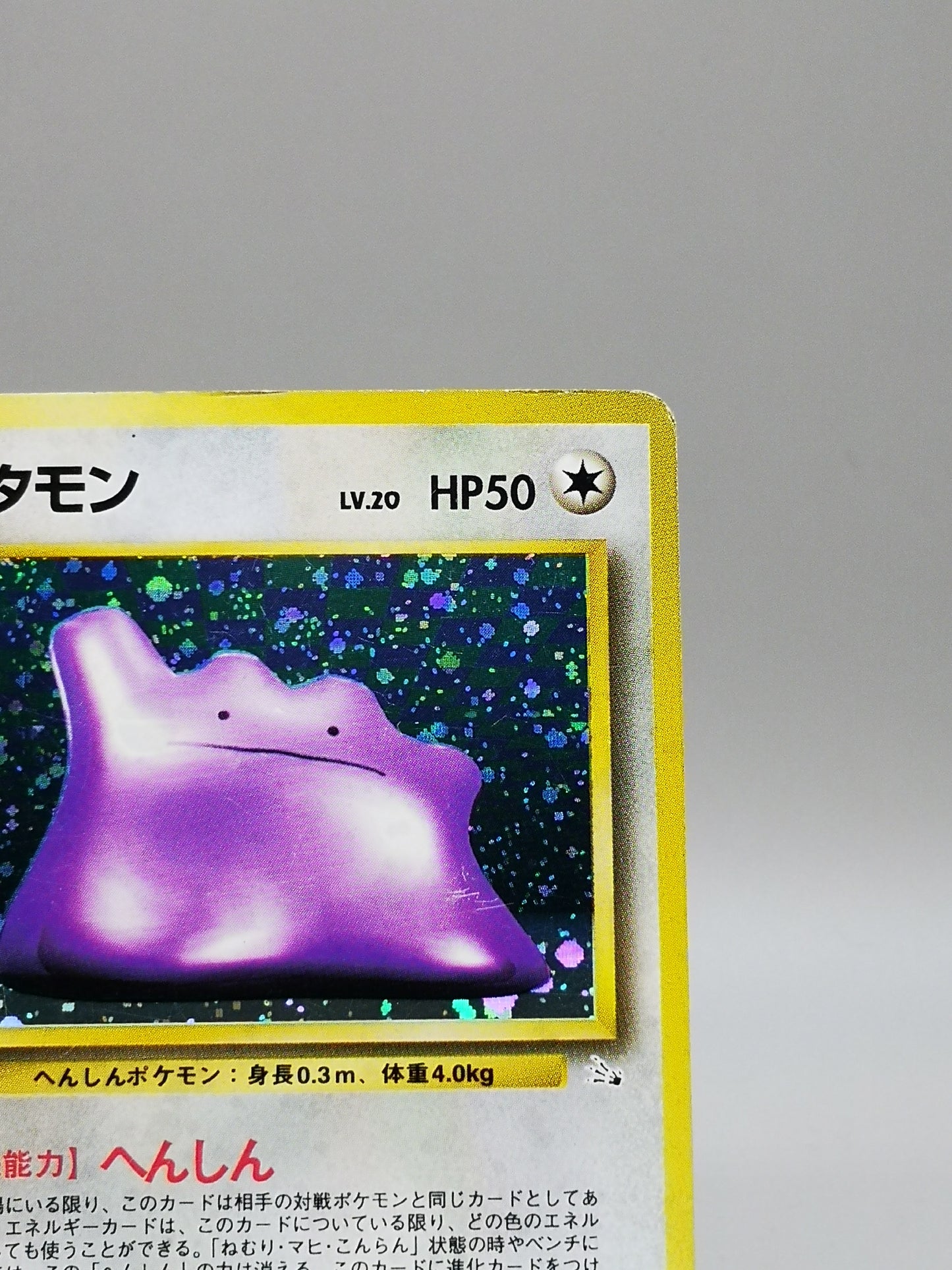 Ditto Fossil 1997