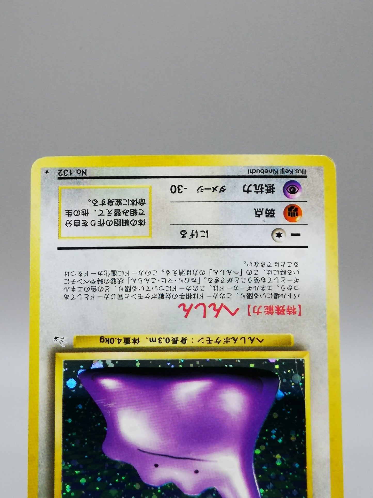 Ditto Fossil 1997