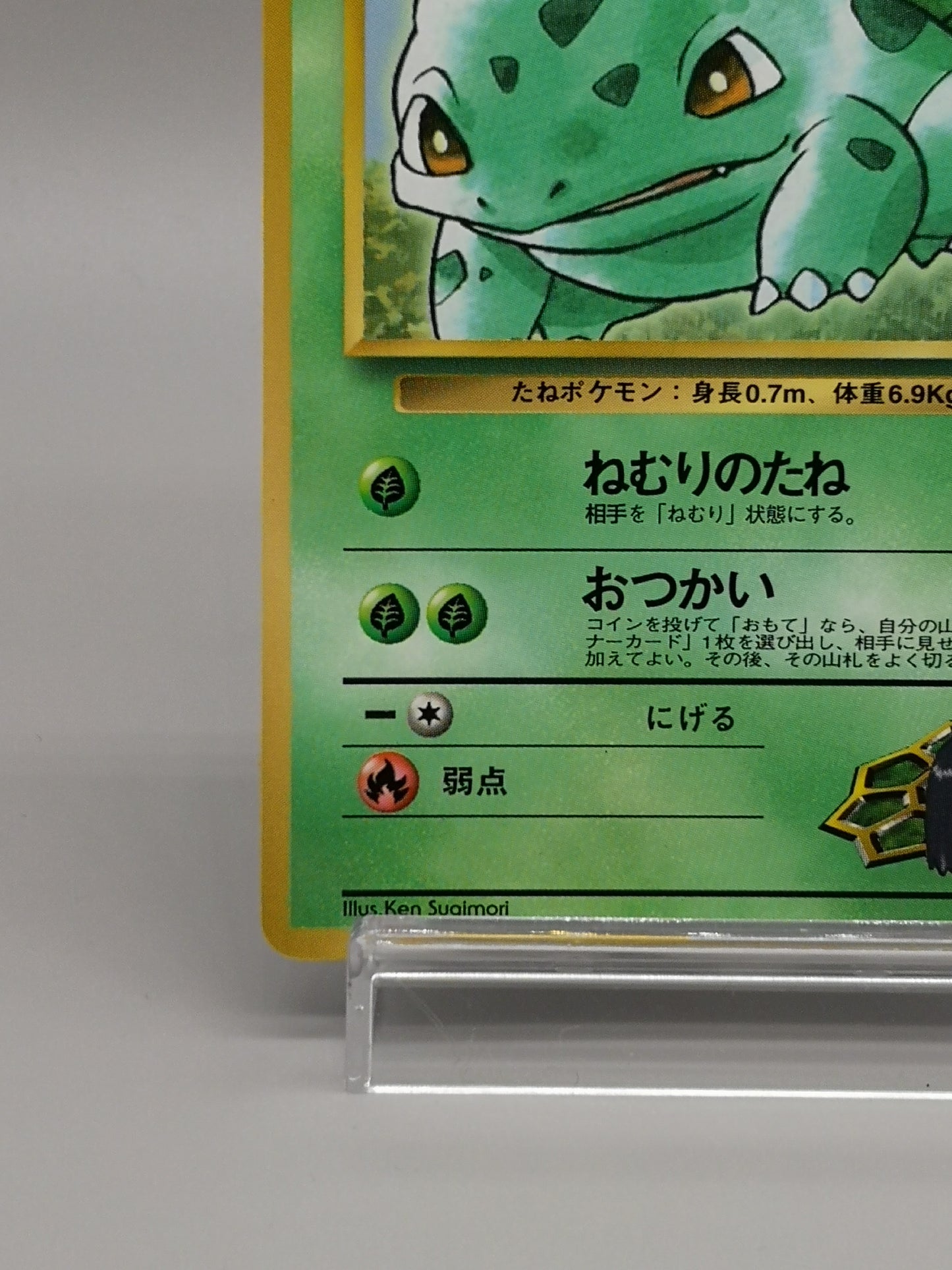 Erika's Bulbasaur Gym Heroes 2000