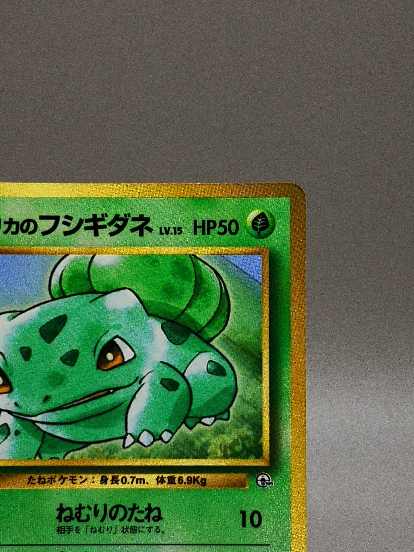 Erika's Bulbasaur Gym Heroes 2000