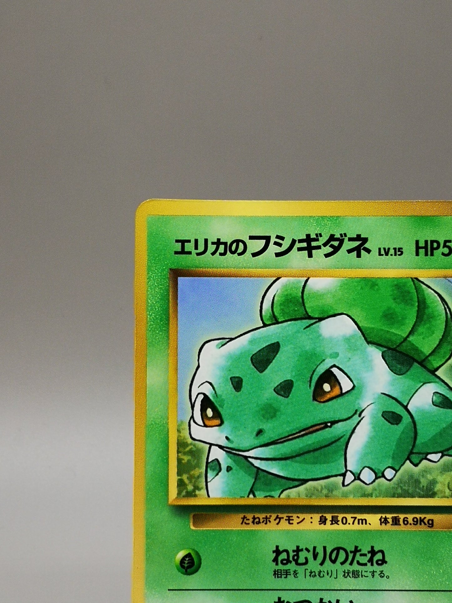 Erika's Bulbasaur Gym Heroes 2000