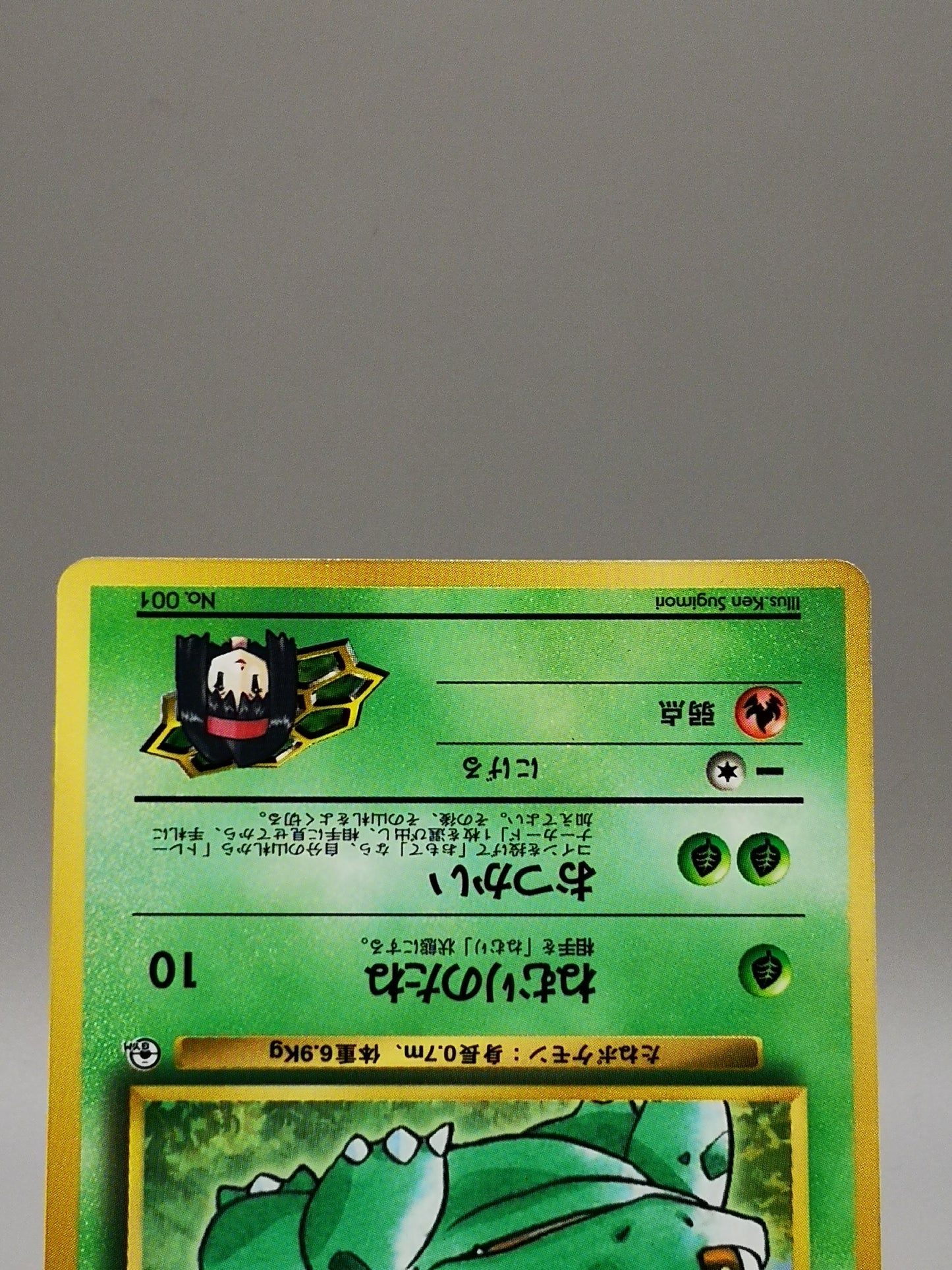 Erika's Bulbasaur Gym Heroes 2000