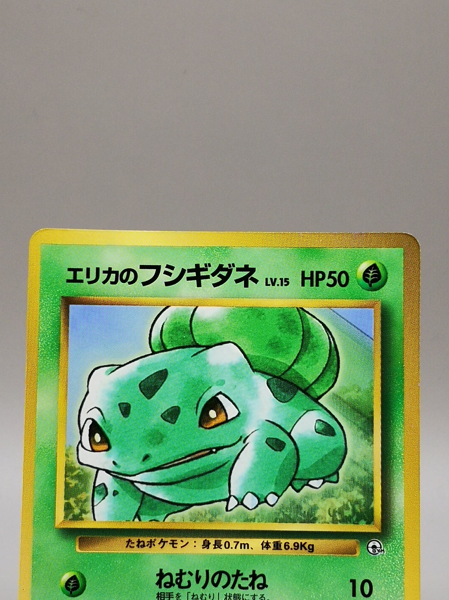 Erika's Bulbasaur Gym Heroes 2000