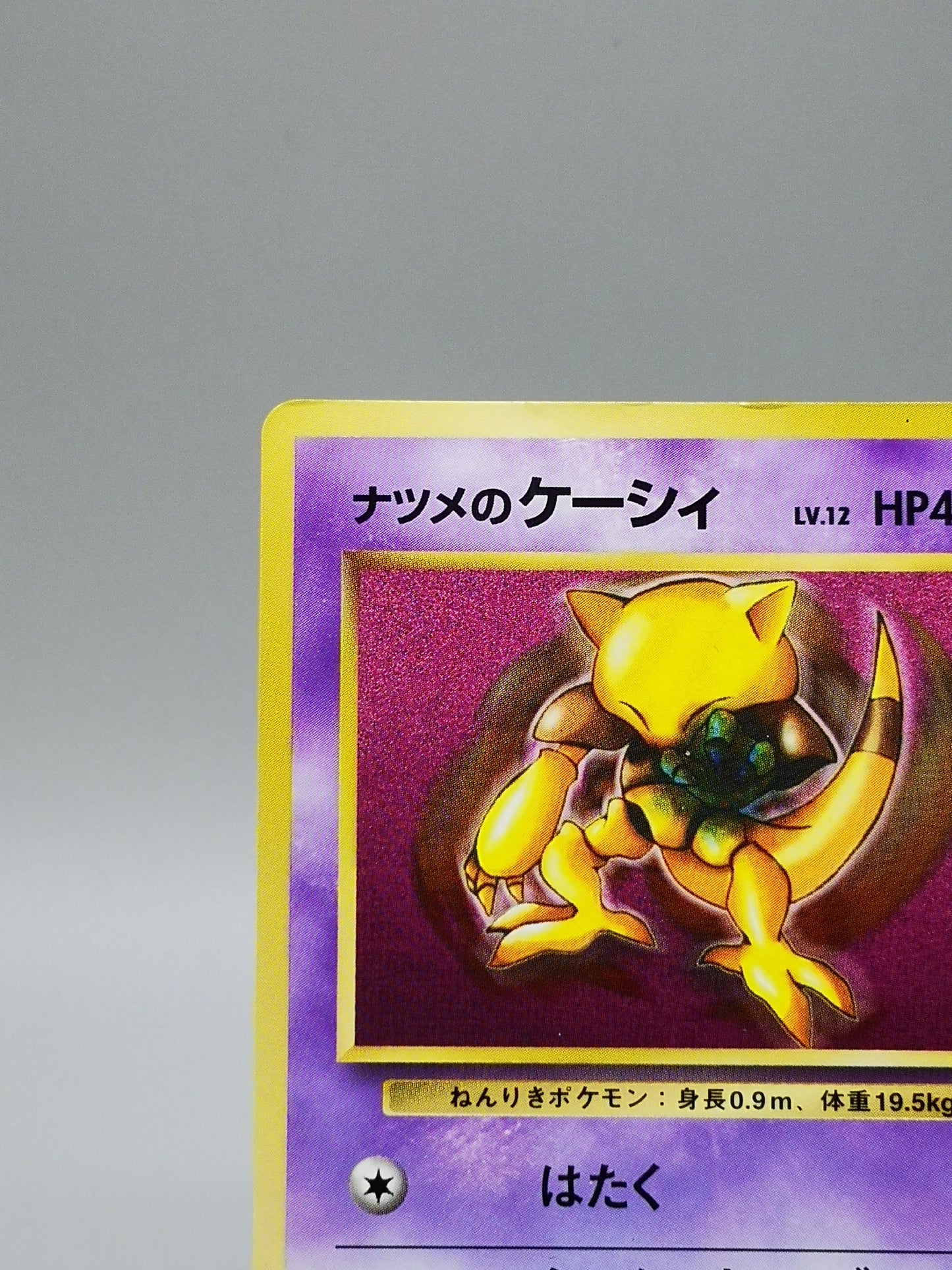 Sabrina's Abra Gym Challenge 2000