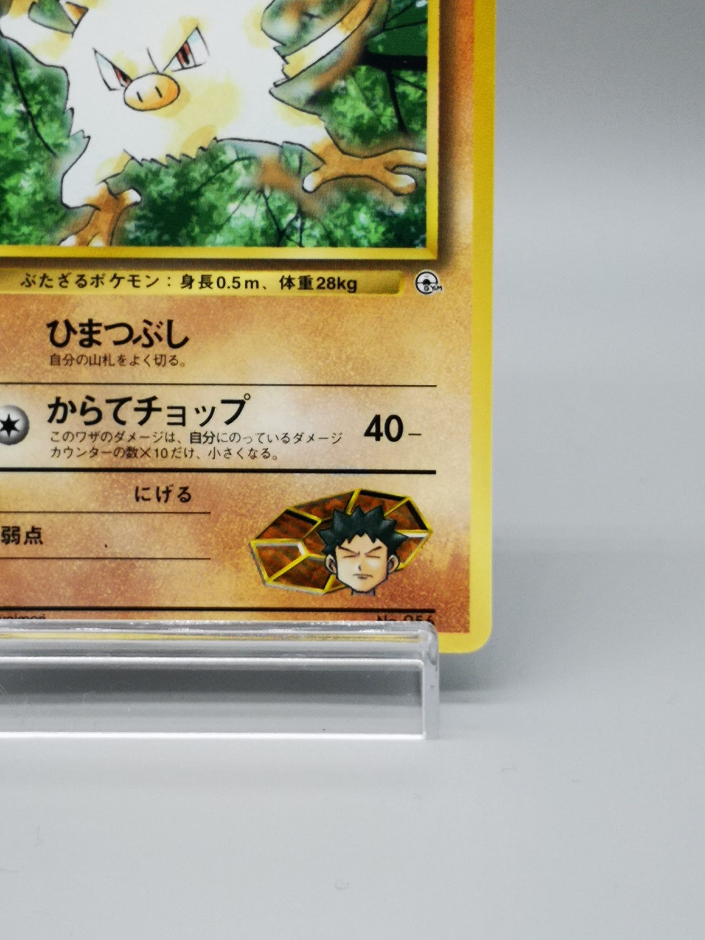 Brock's Mankey Gym Heroes 2000