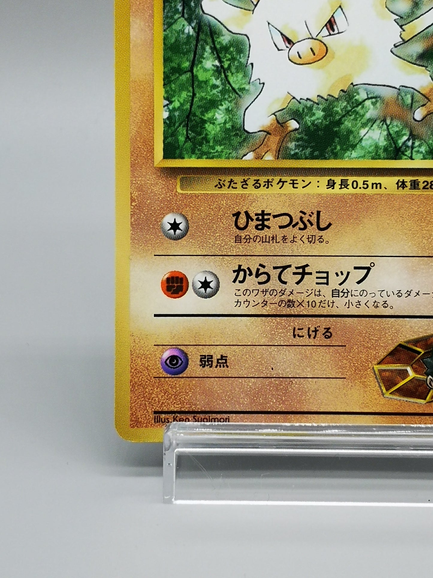 Brock's Mankey Gym Heroes 2000