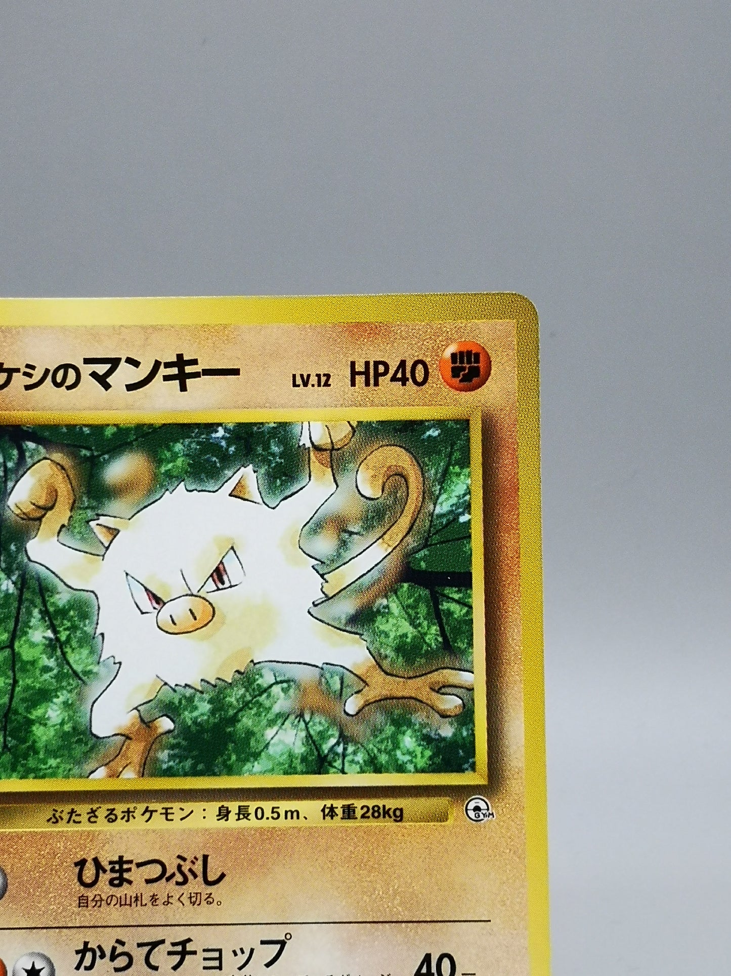 Brock's Mankey Gym Heroes 2000