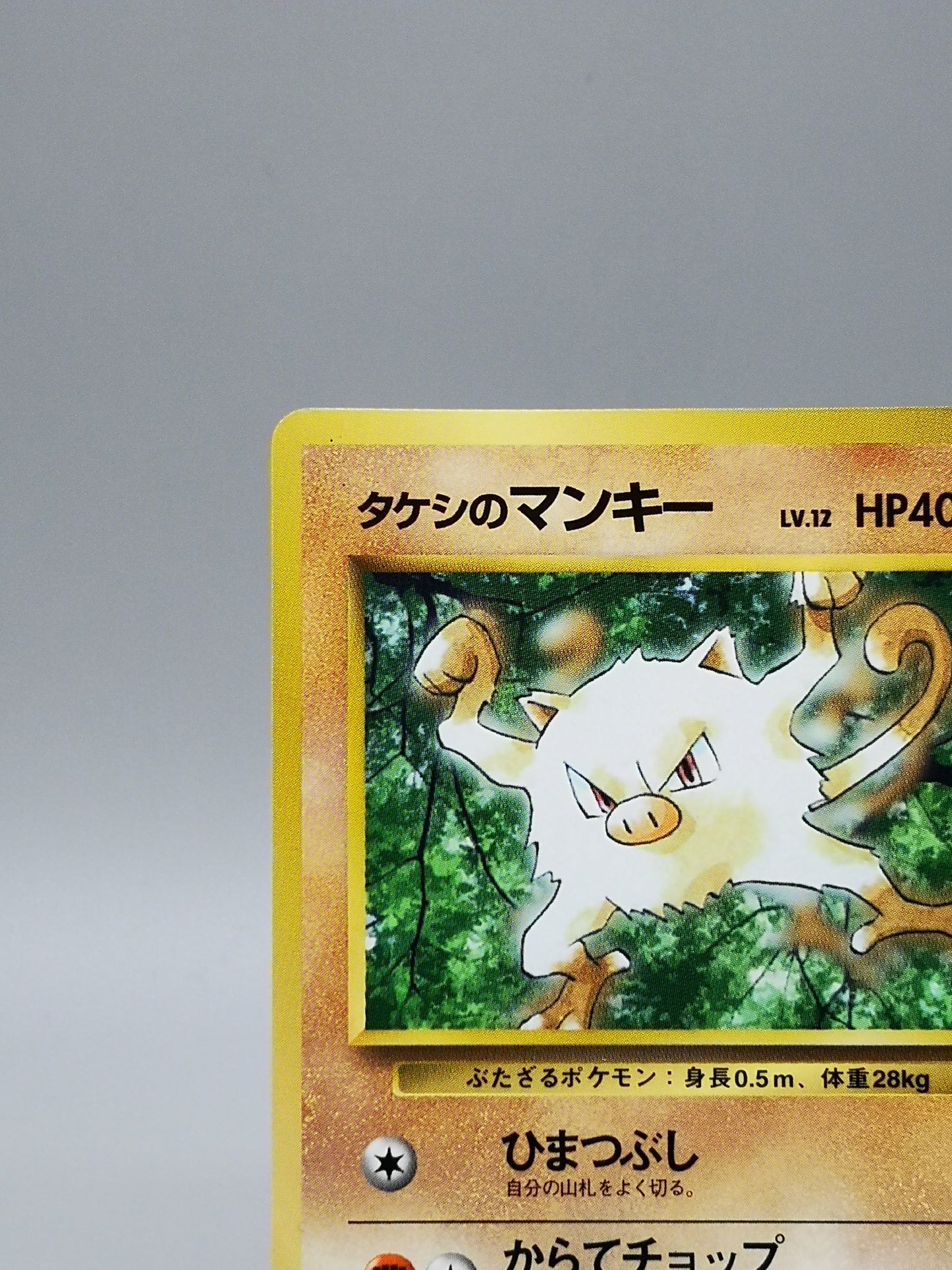 Brock's Mankey Gym Heroes 2000