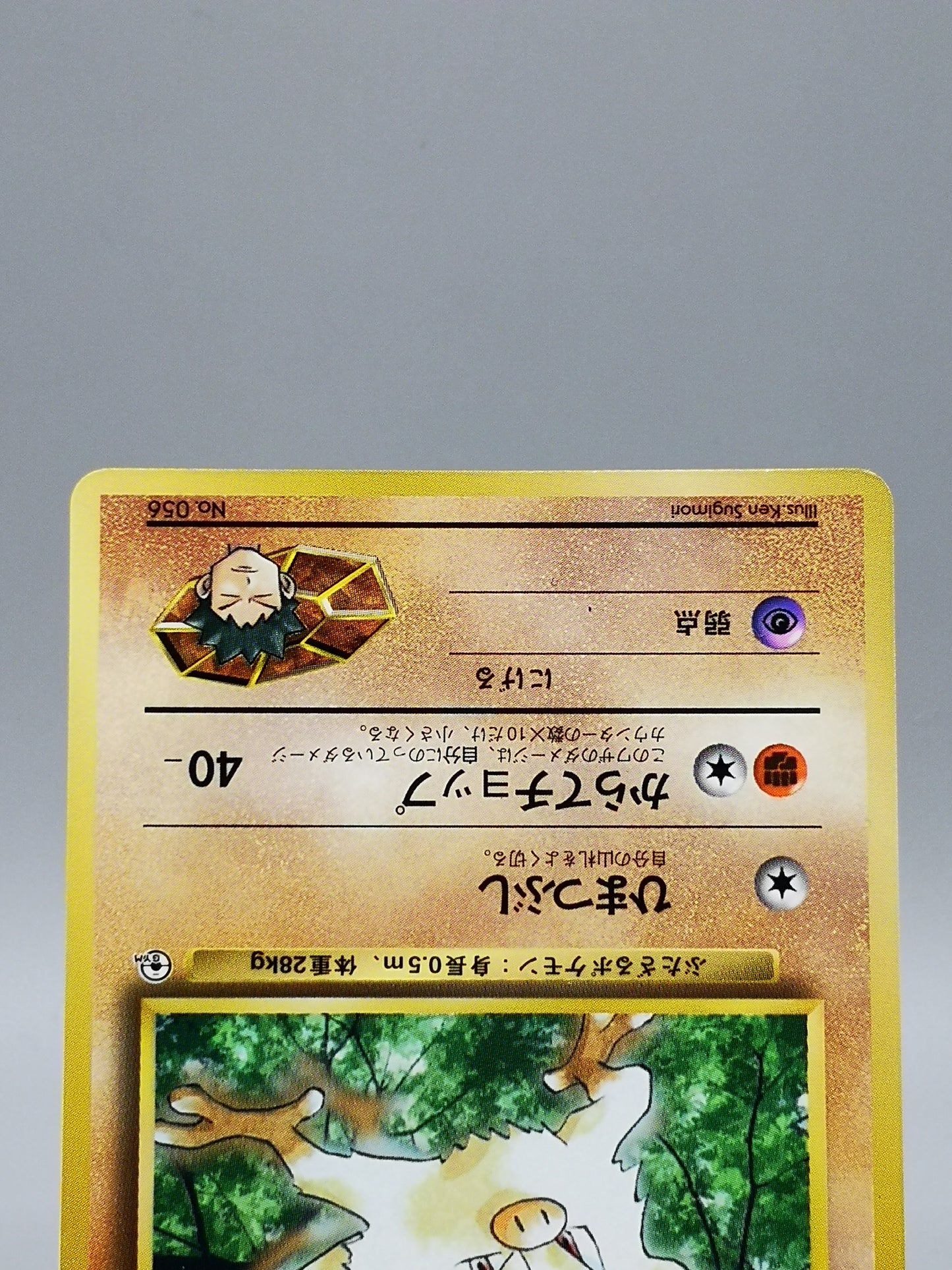 Brock's Mankey Gym Heroes 2000