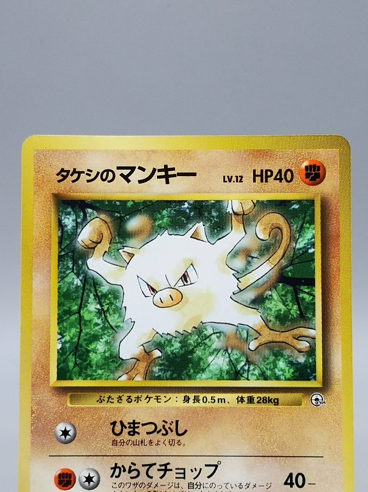 Brock's Mankey Gym Heroes 2000