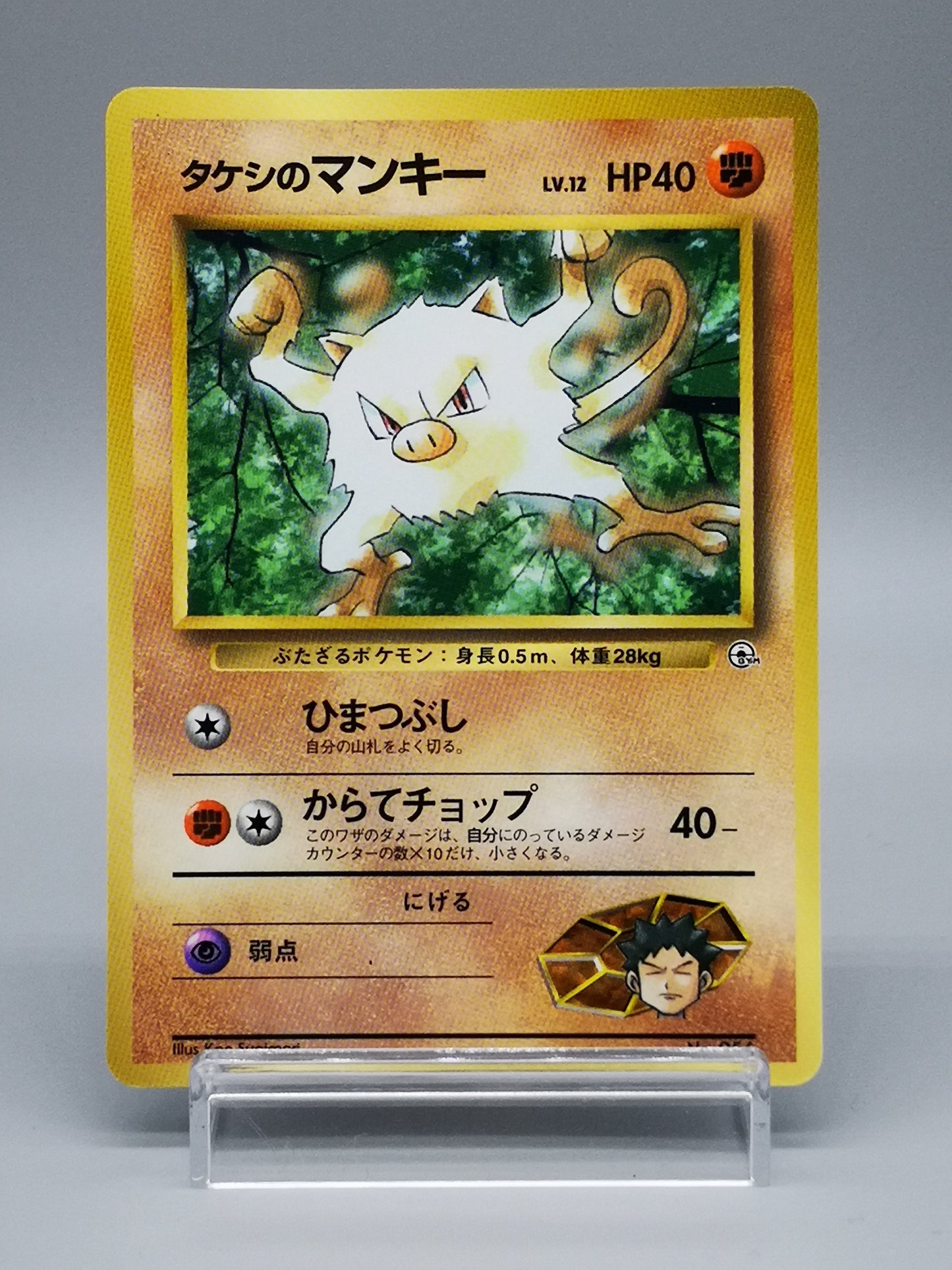 Brock's Mankey Gym Heroes 2000