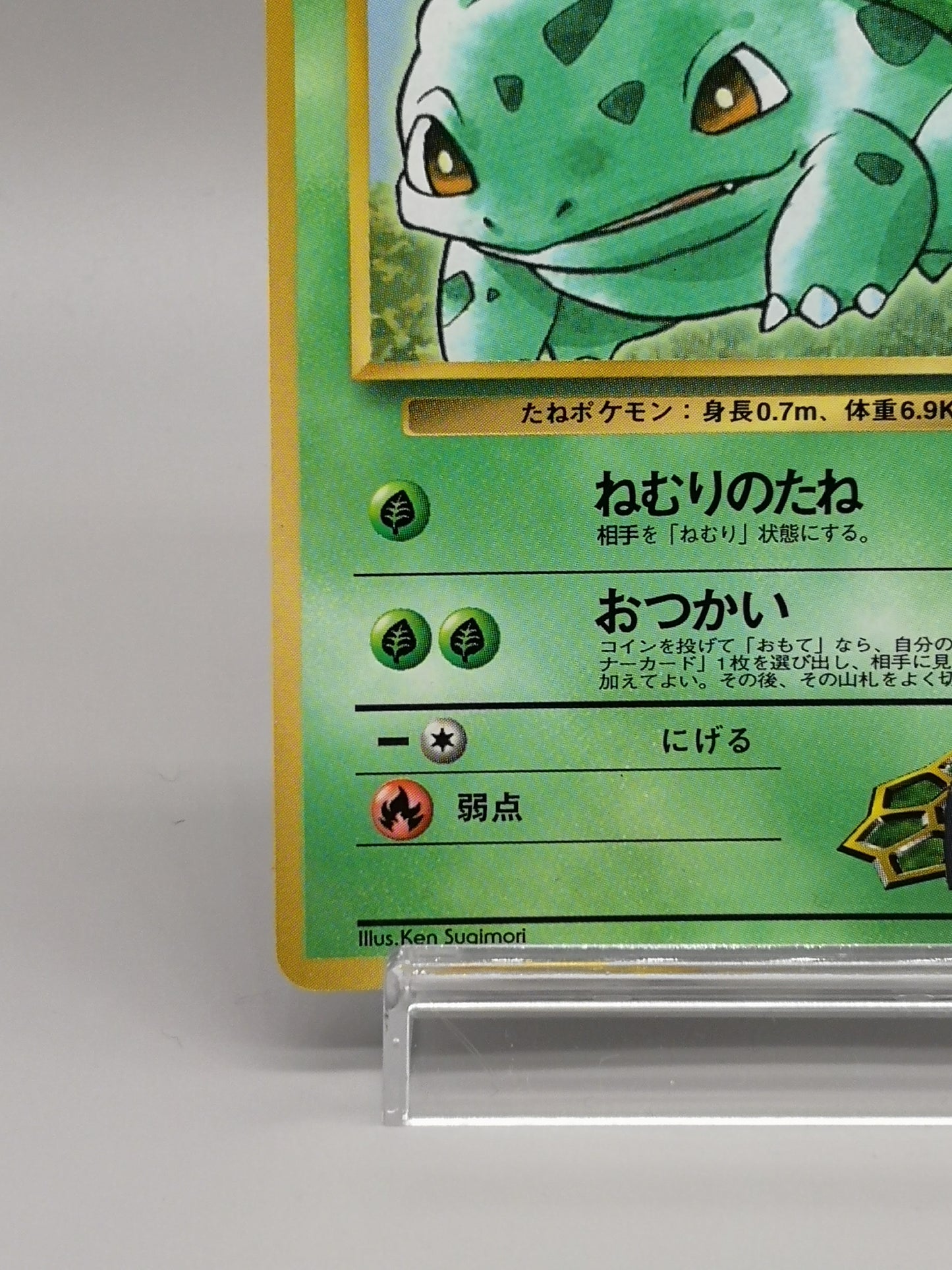 Erika's Bulbasaur Gym Heroes 1998