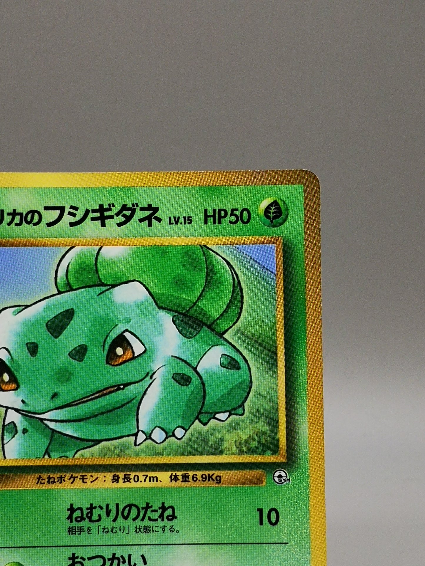Erika's Bulbasaur Gym Heroes 1998