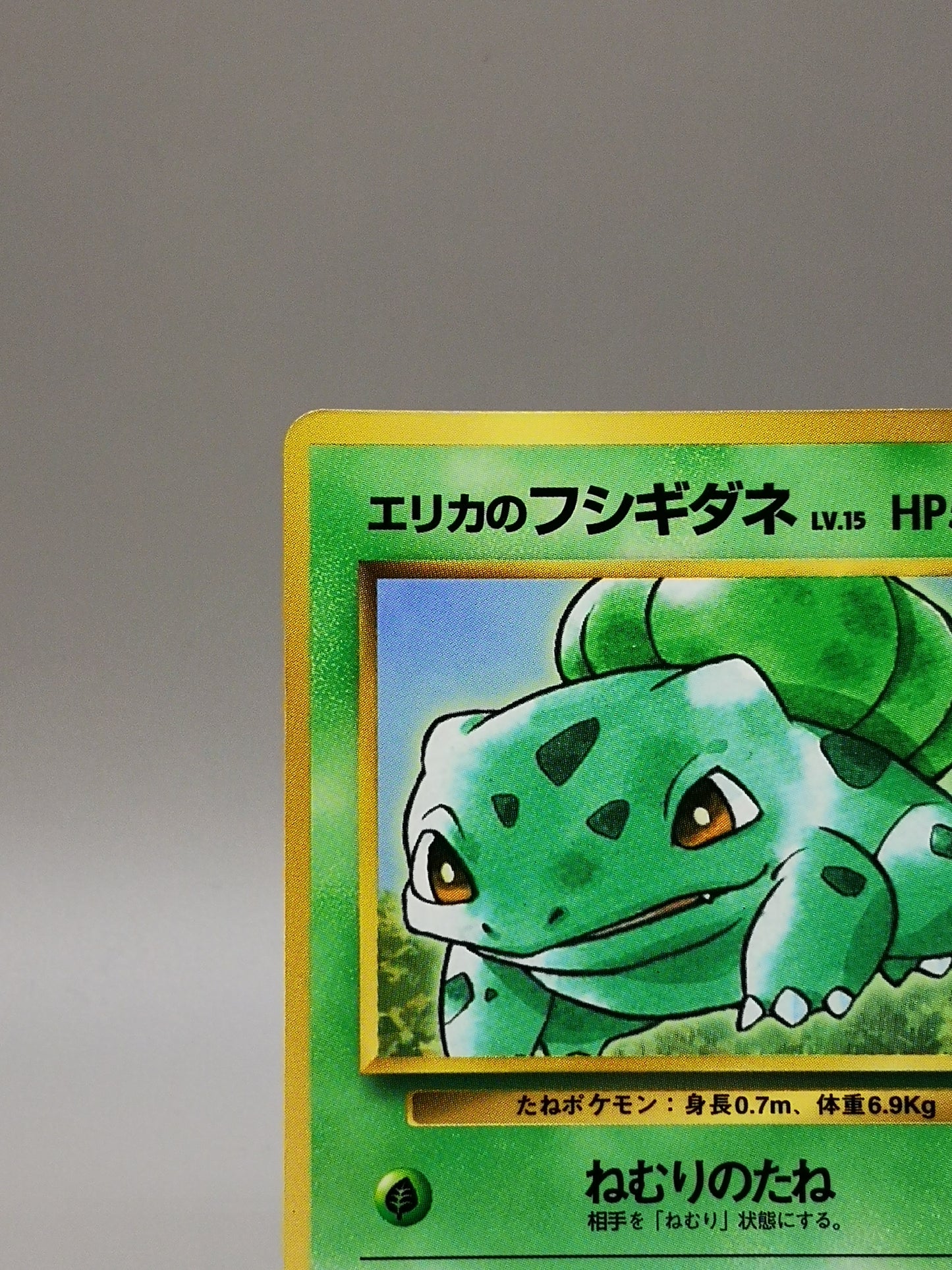 Erika's Bulbasaur Gym Heroes 1998