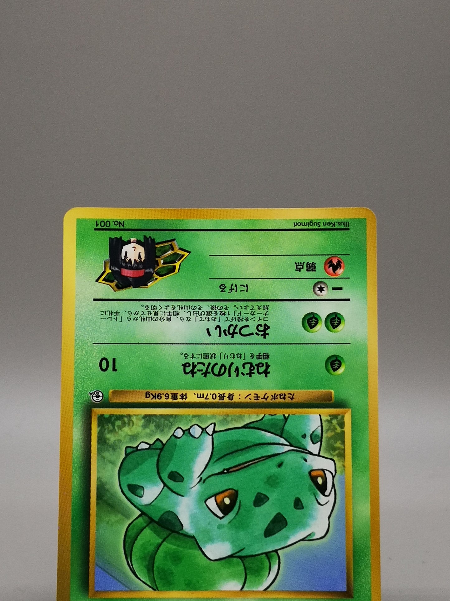 Erika's Bulbasaur Gym Heroes 1998