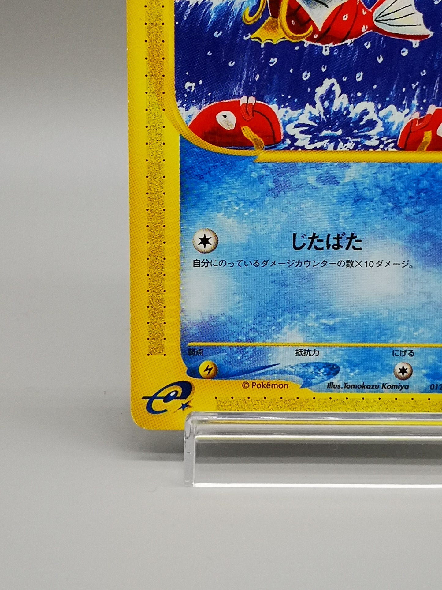 Magikarp Expedition Base Set 2001