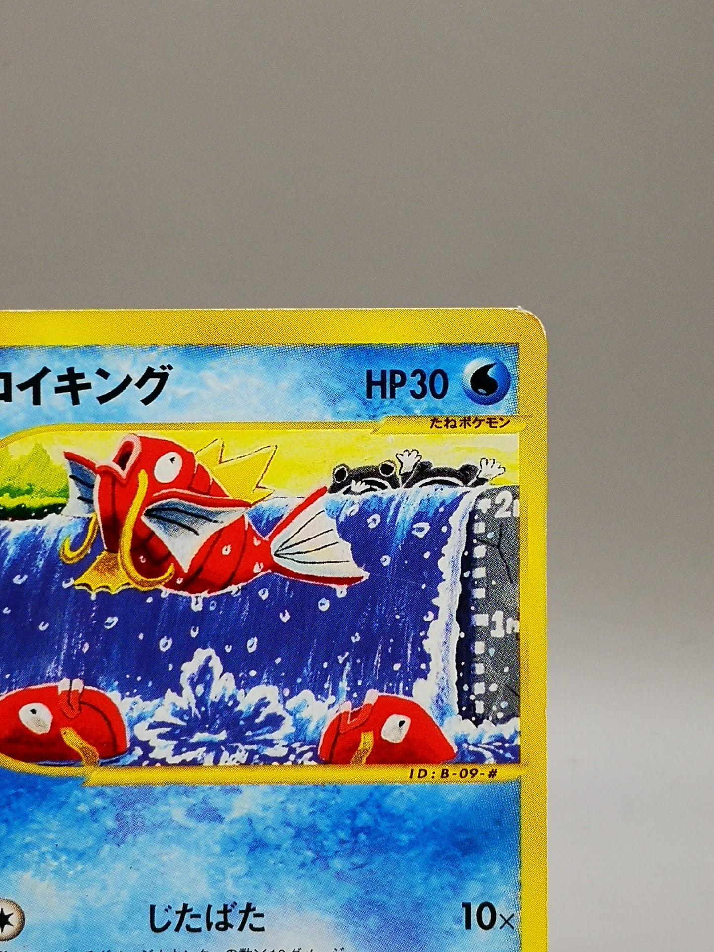 Magikarp Expedition Base Set 2001