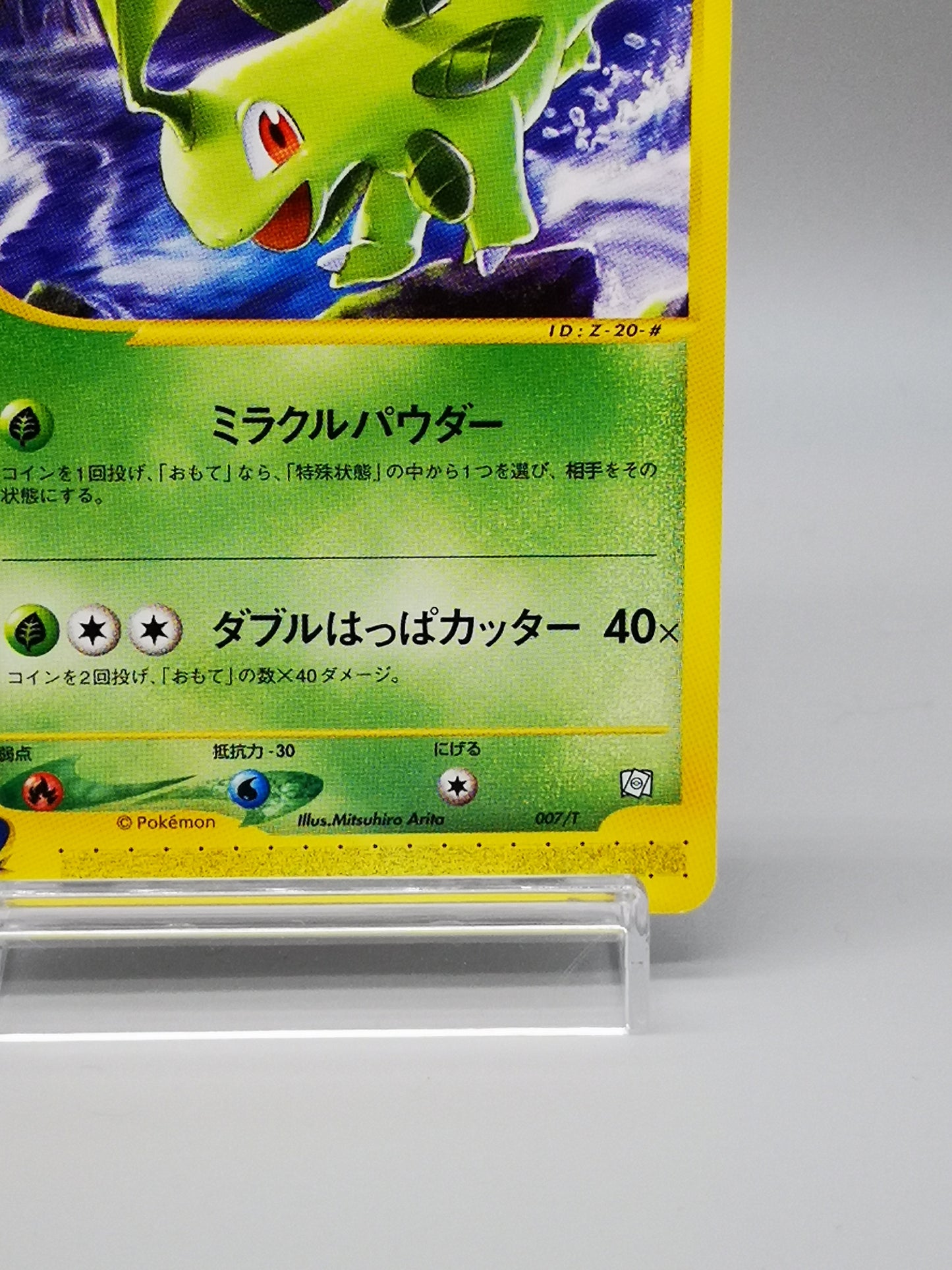Bayleef Pokémon-e Starter Deck Starter Triple Get Campaign 2001