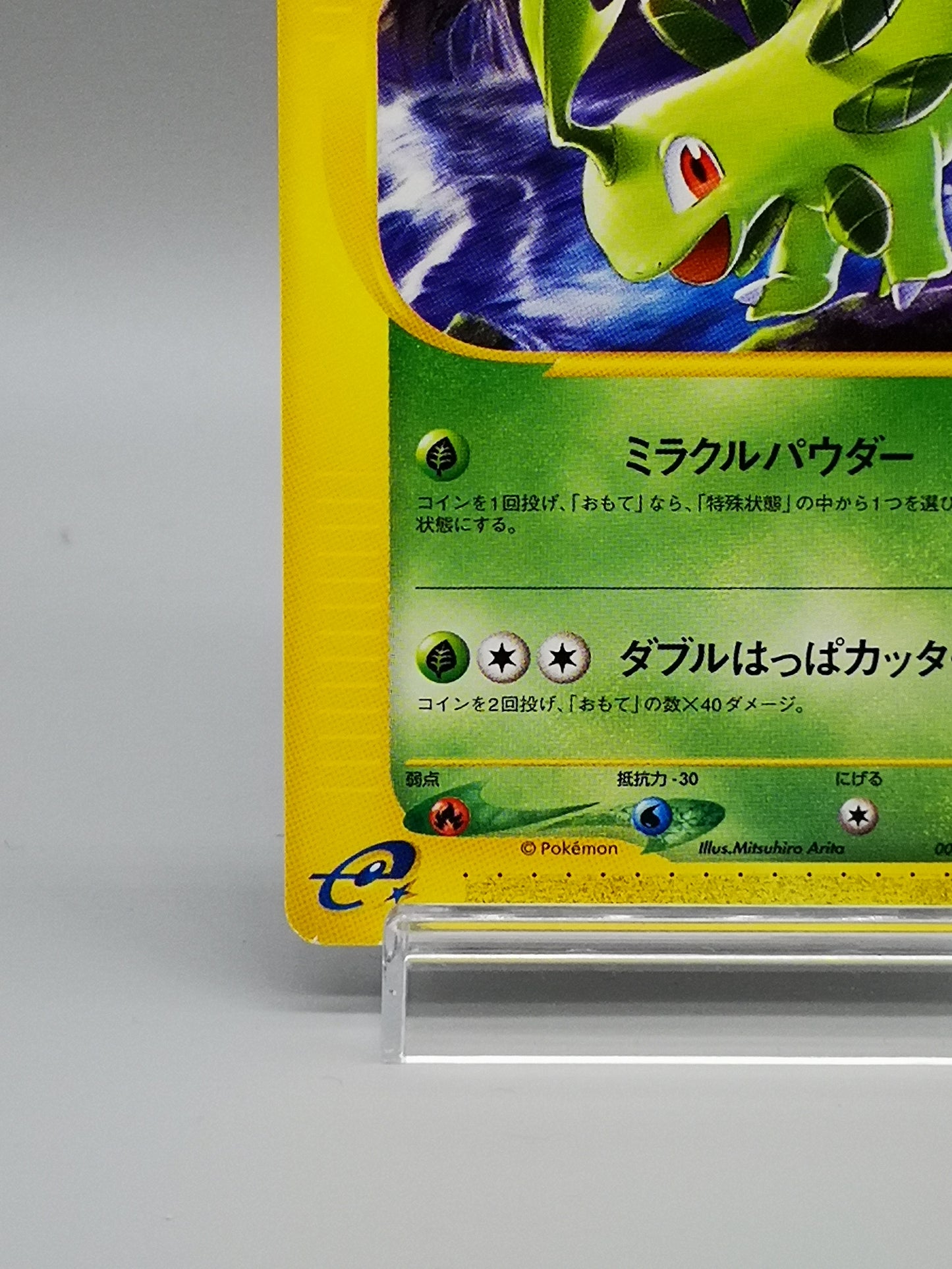 Bayleef Pokémon-e Starter Deck Starter Triple Get Campaign 2001