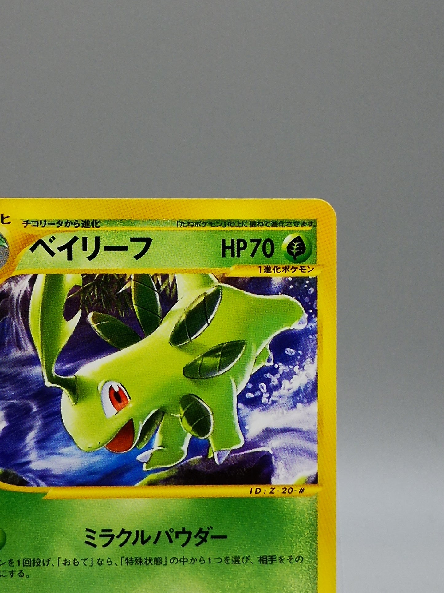 Bayleef Pokémon-e Starter Deck Starter Triple Get Campaign 2001