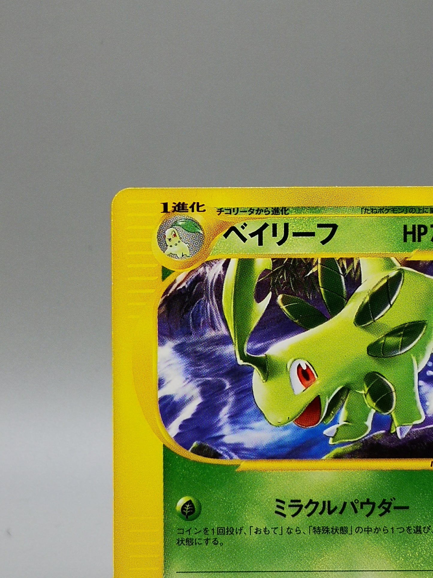 Bayleef Pokémon-e Starter Deck Starter Triple Get Campaign 2001