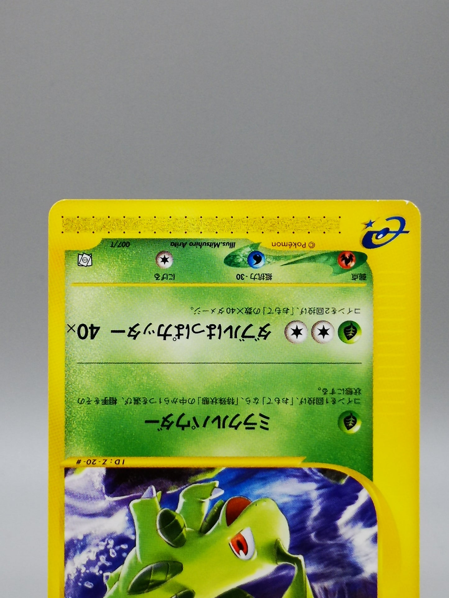 Bayleef Pokémon-e Starter Deck Starter Triple Get Campaign 2001